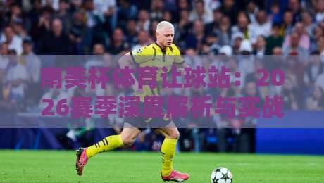 南美杯体育让球站：2026赛季深度解析与实战策略