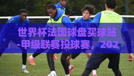 世界杯法国球盘买球站-甲级联赛投球赛，2026赛季你该怎么玩？