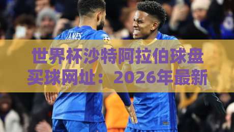世界杯沙特阿拉伯球盘买球网址：2026年最新解析与防范指南