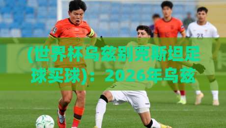 (世界杯乌兹别克斯坦足球买球)：2026年乌兹别克斯坦足球热潮背后的购彩指南