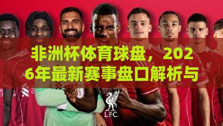 非洲杯体育球盘，2026年最新赛事盘口解析与投注策略