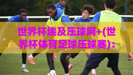 世界杯埃及压球网+(世界杯体育足球压球赛):2026年球迷必看的实战攻略! 世界杯埃及压球网+(世界杯体育足球压球赛):2026年球迷必看的实战攻略!