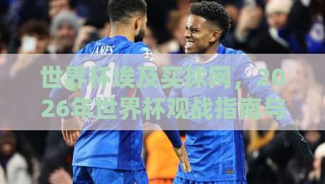 世界杯埃及买球网，2026年世界杯观战指南与投注平台选择(世界杯埃及买球网)
