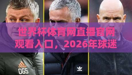 世界杯体育网直播官网观看入口，2026年球迷必看的高清观赛指南